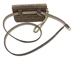 belt with belt bag