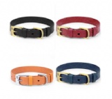 狗项圈(Dog Collars)