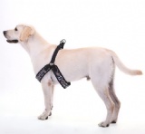 胸背带(Dog Harnesses)
