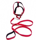 牵引绳(Dog Leads)