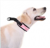 狗项圈(Dog Collars)