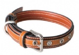 狗项圈(Dog Collars)