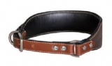 狗项圈(Dog Collars)
